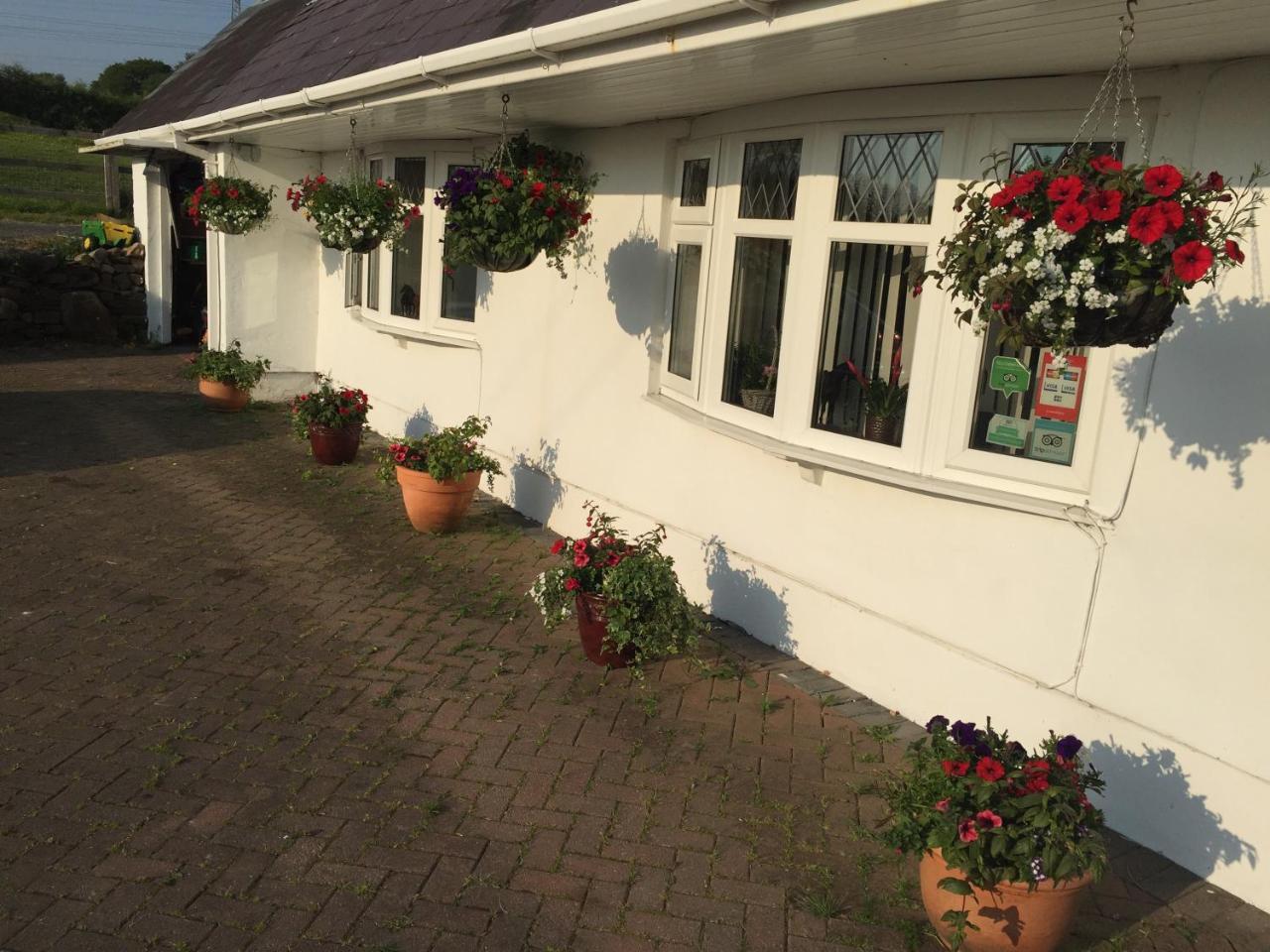 Brynawel Farm B&B Pontlliw Екстер'єр фото